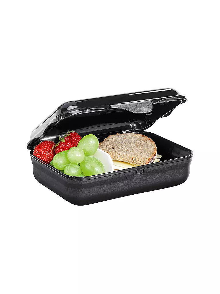 STEP BY STEP Lunchbox - Wild Cat Chiko schwarz
