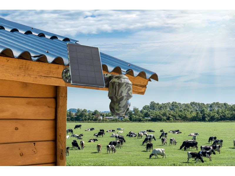 Technaxx Netzwerkkamera 4G PT Dome TX-290 mit Solarmodul Überwachungskamera für Haus und Garten