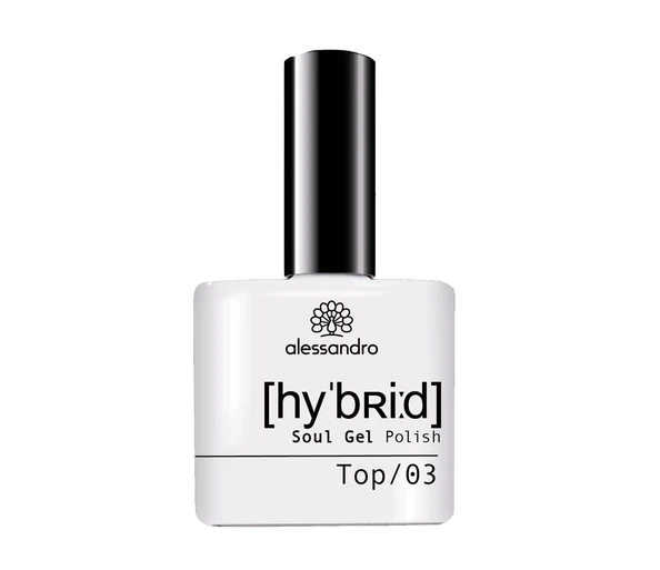 Alessandro HYBRID TOP COAT Überllack
