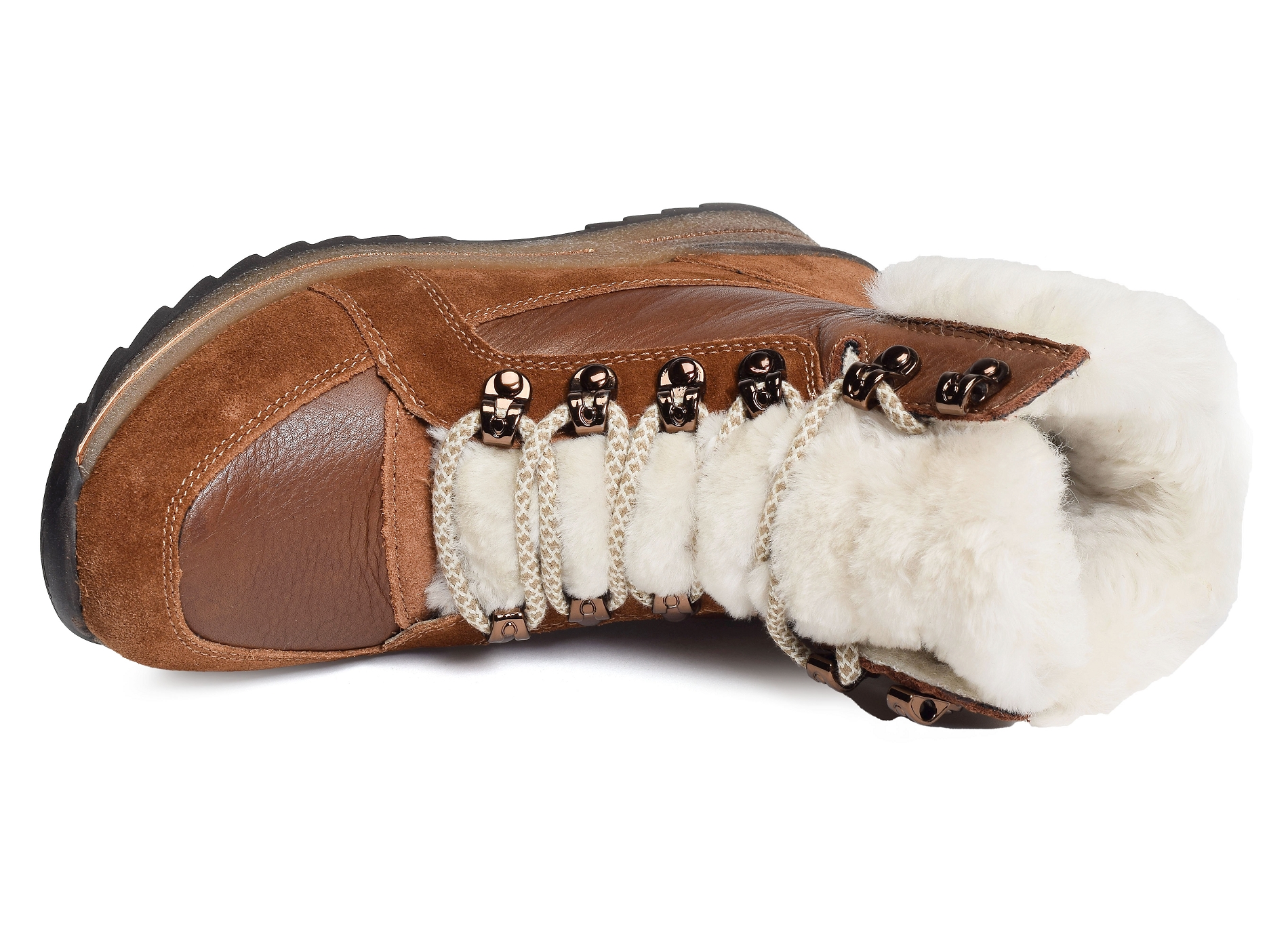 Osaka sport camel
