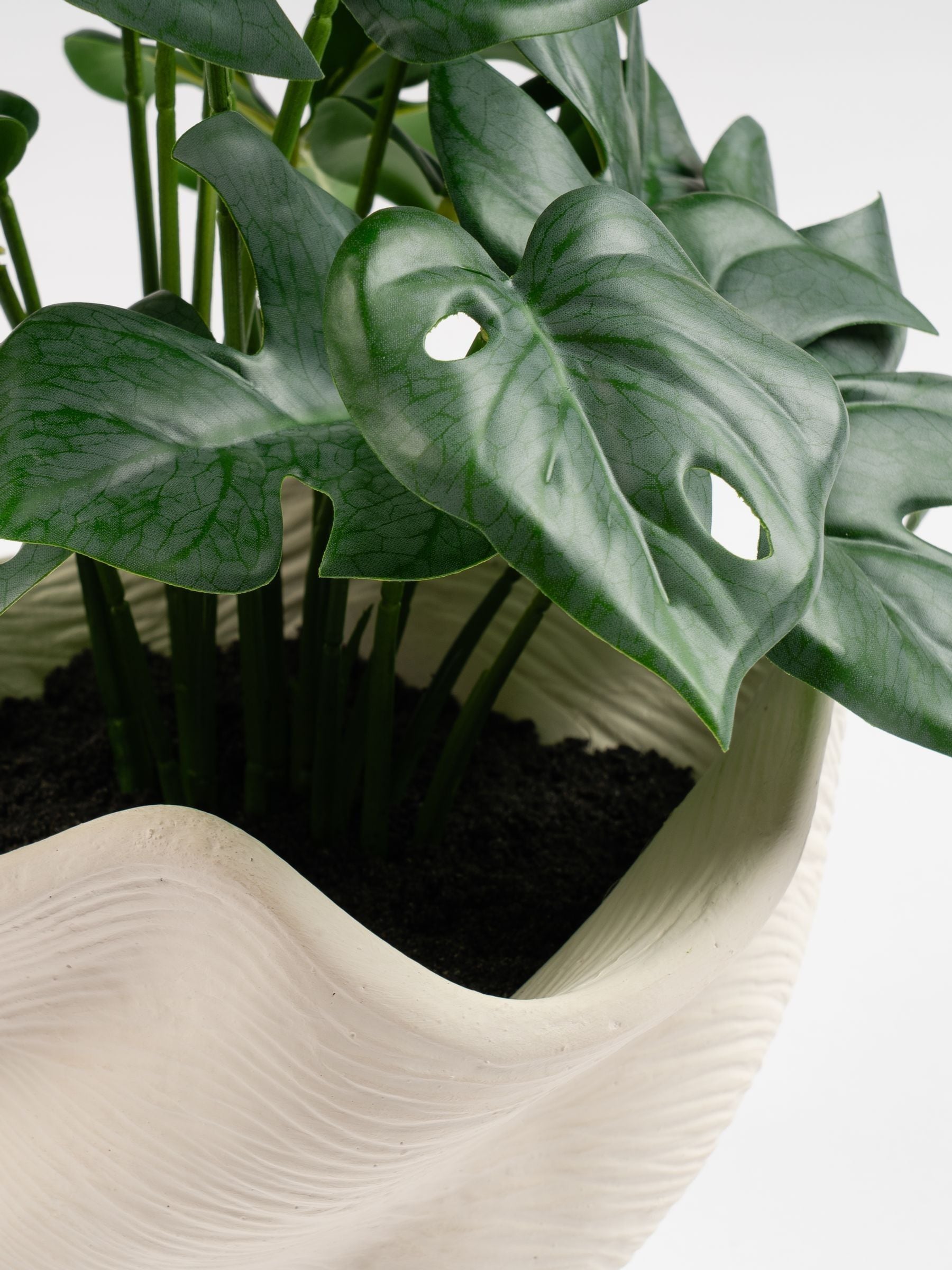 Scottish Everlastings Ltd Artificial Variegated Monstera in Cement Pot