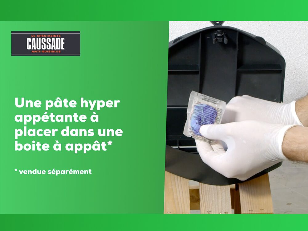 Anti rats lot de 2 boîtes raticide canadien pat'appât fortes infestati