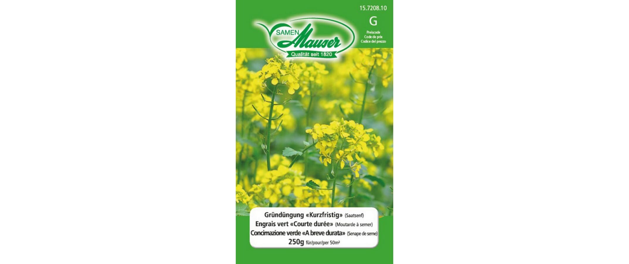 Gründüngung kurzfristig 250 gBlumensamen