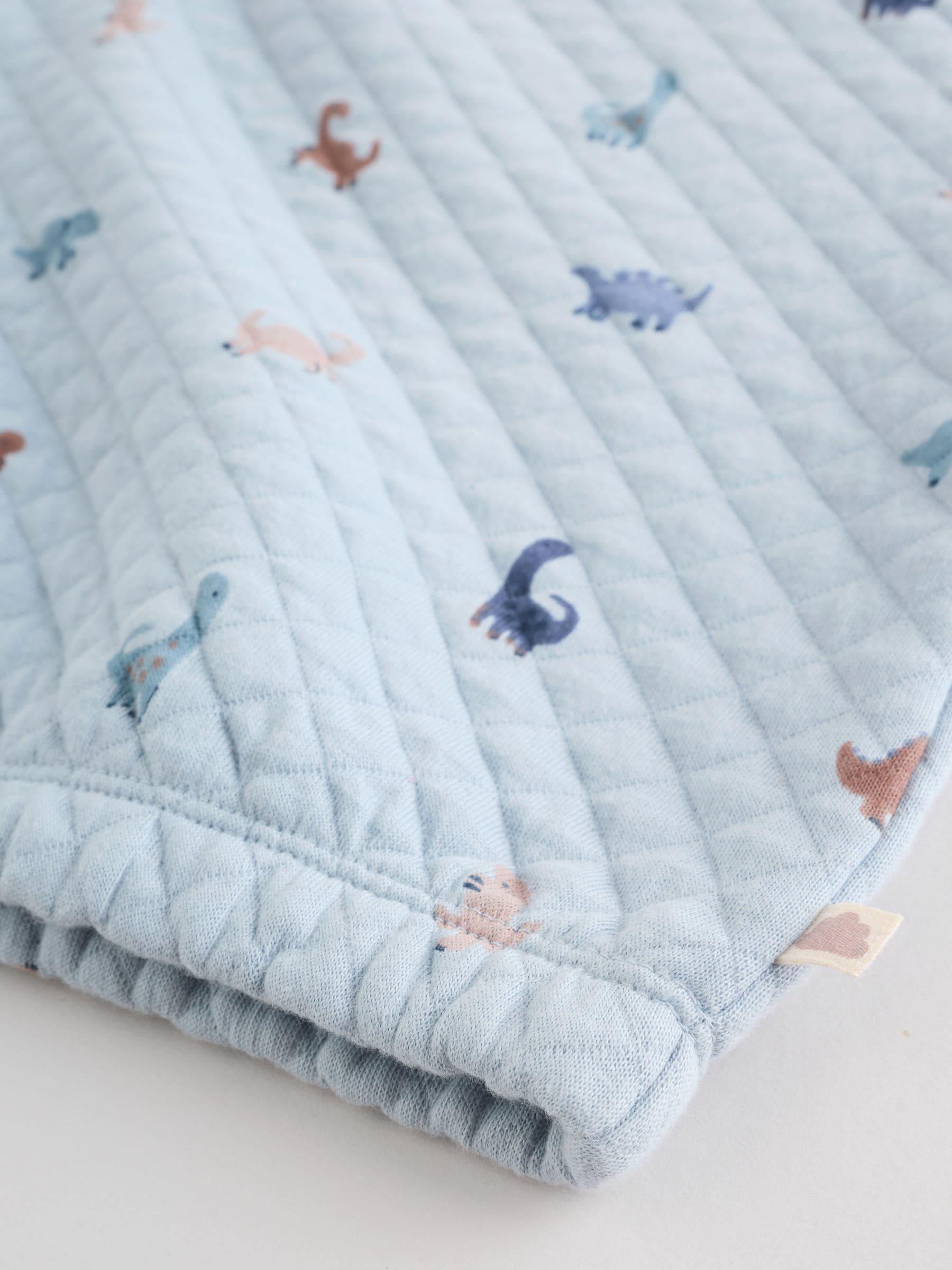 Blauw met dinosaurus - Set van gewatteerde sweater en joggingbroek voor baby's (0mnd-2jr)