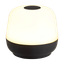 Bærbar bordlampe 160 lm 2700 K