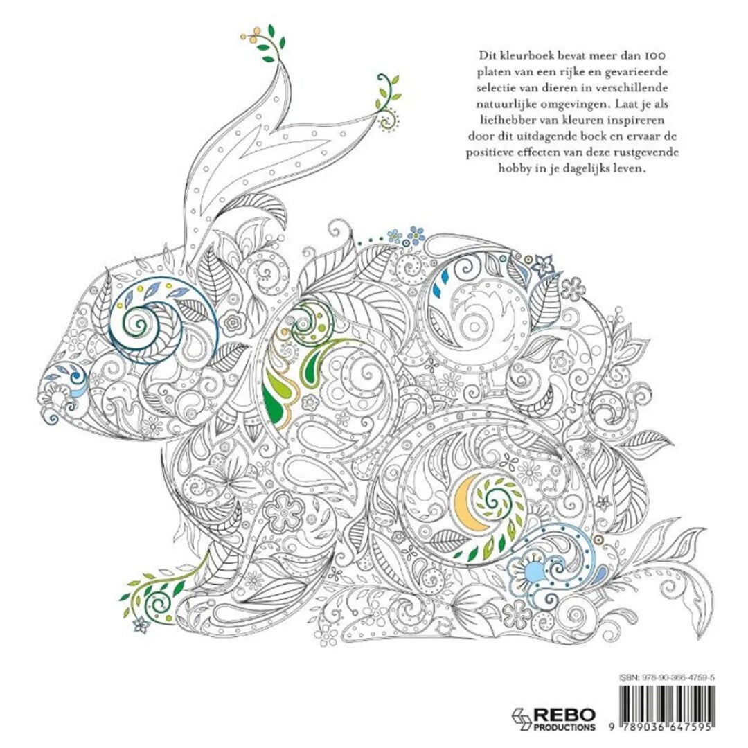 Uitgeverij rebo kleurboek animal fantasy
