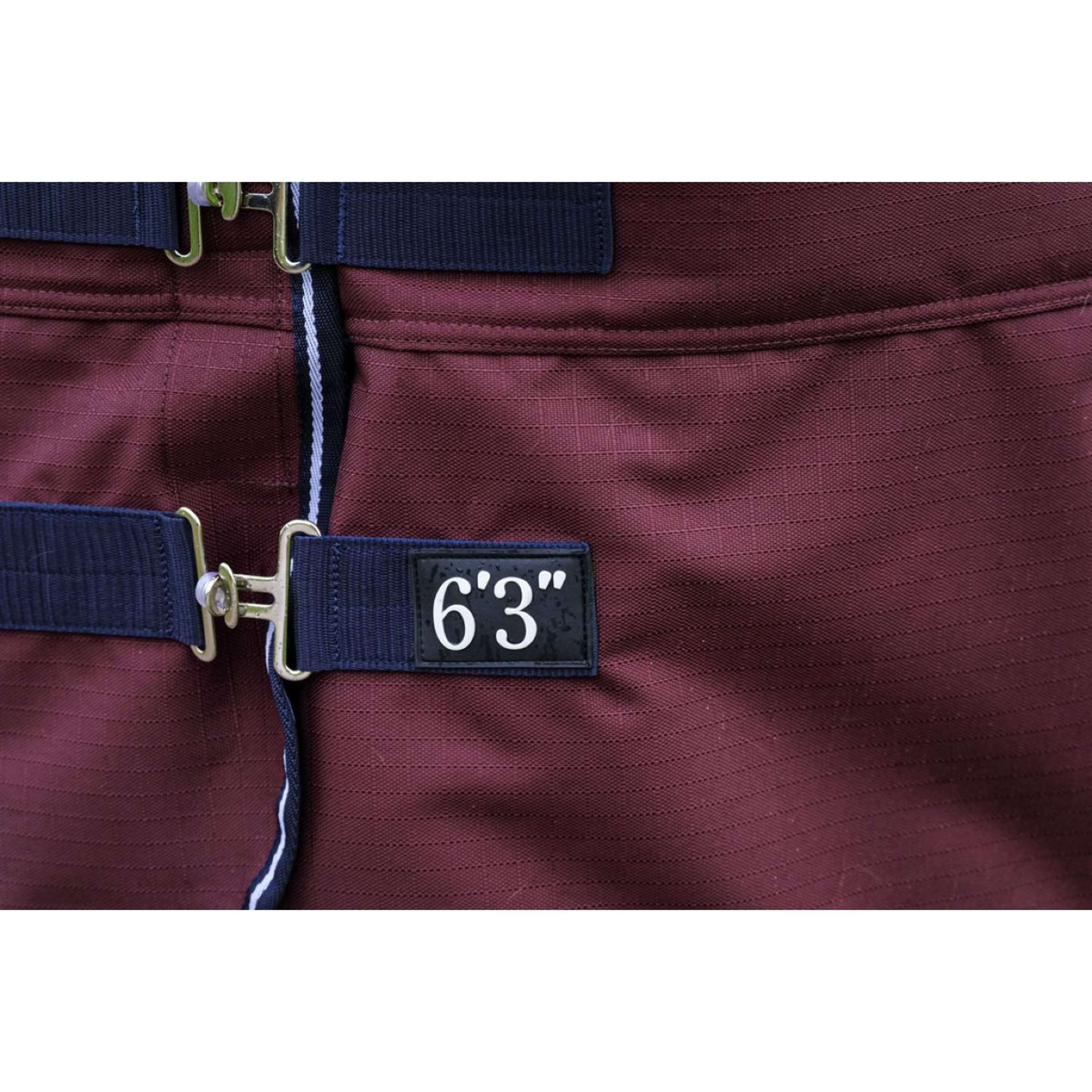 EQUITHÈME Outdoordeken Tyrex 1200D 150g High Neck Burgundy