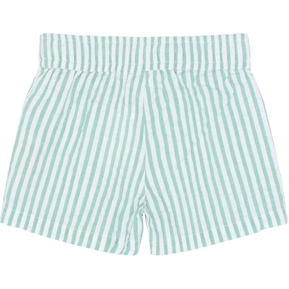 Køb THE NEW Siblings Créme De Menthe Striped Tnsttate Shorts