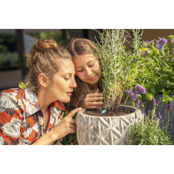 Gardena Sproeier kleine oppervlakte