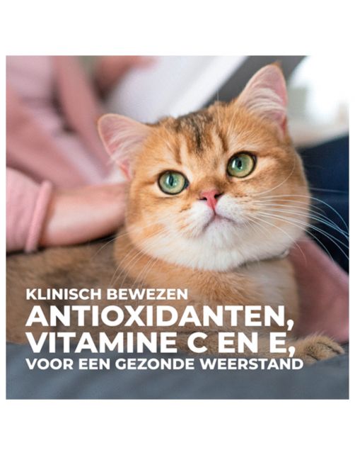 Hill's Feline Sterilised Cat Mature Adult Kip - Kattenvoer