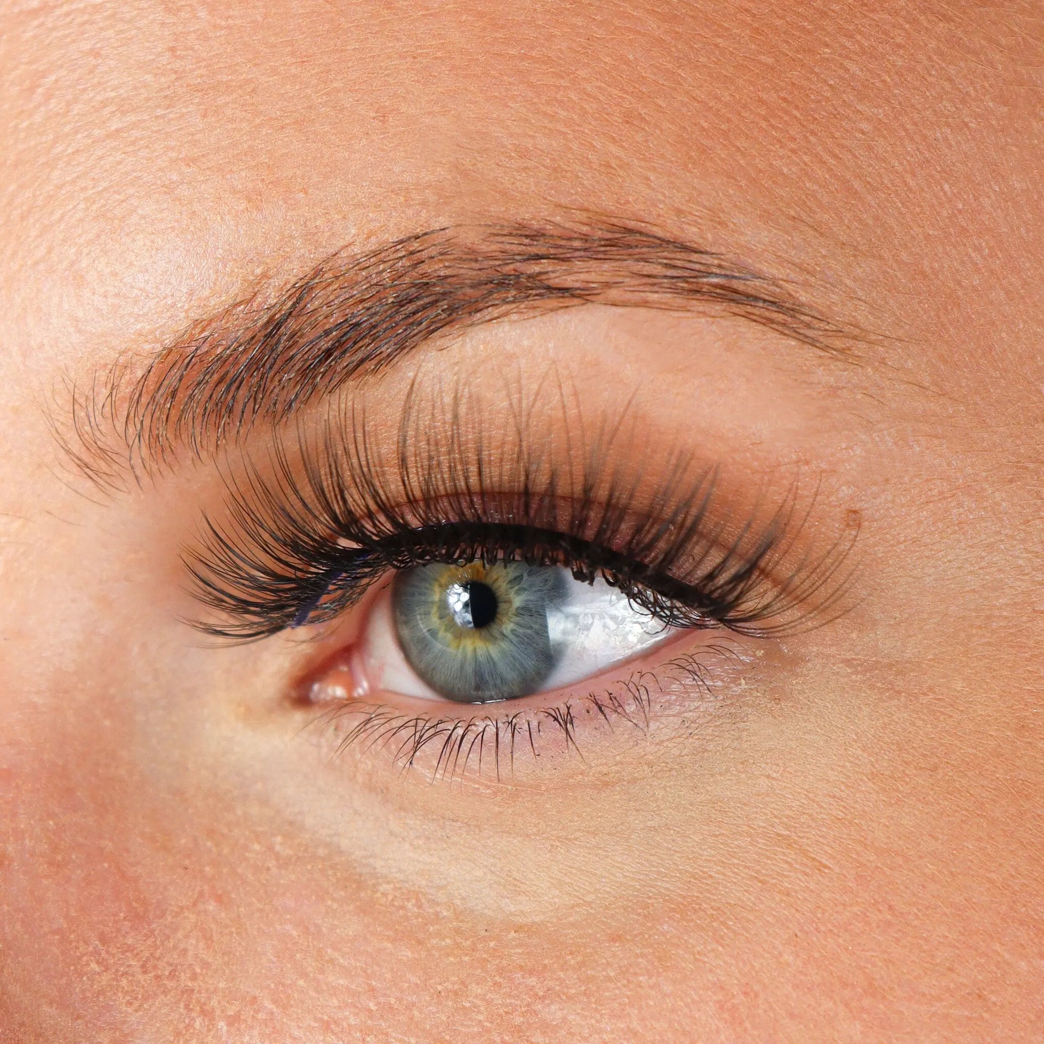 Lashes Armanda