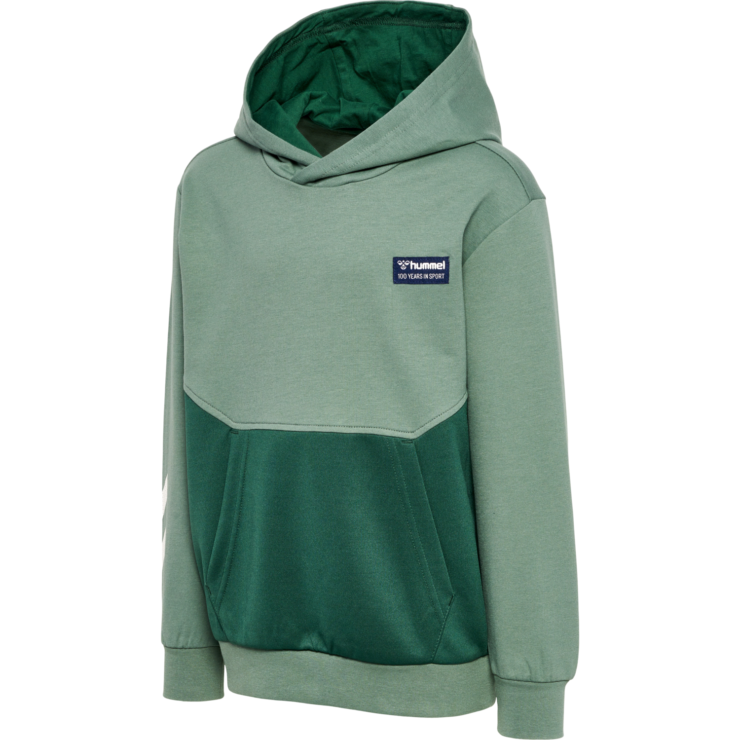 hmlEDDY HOODIE