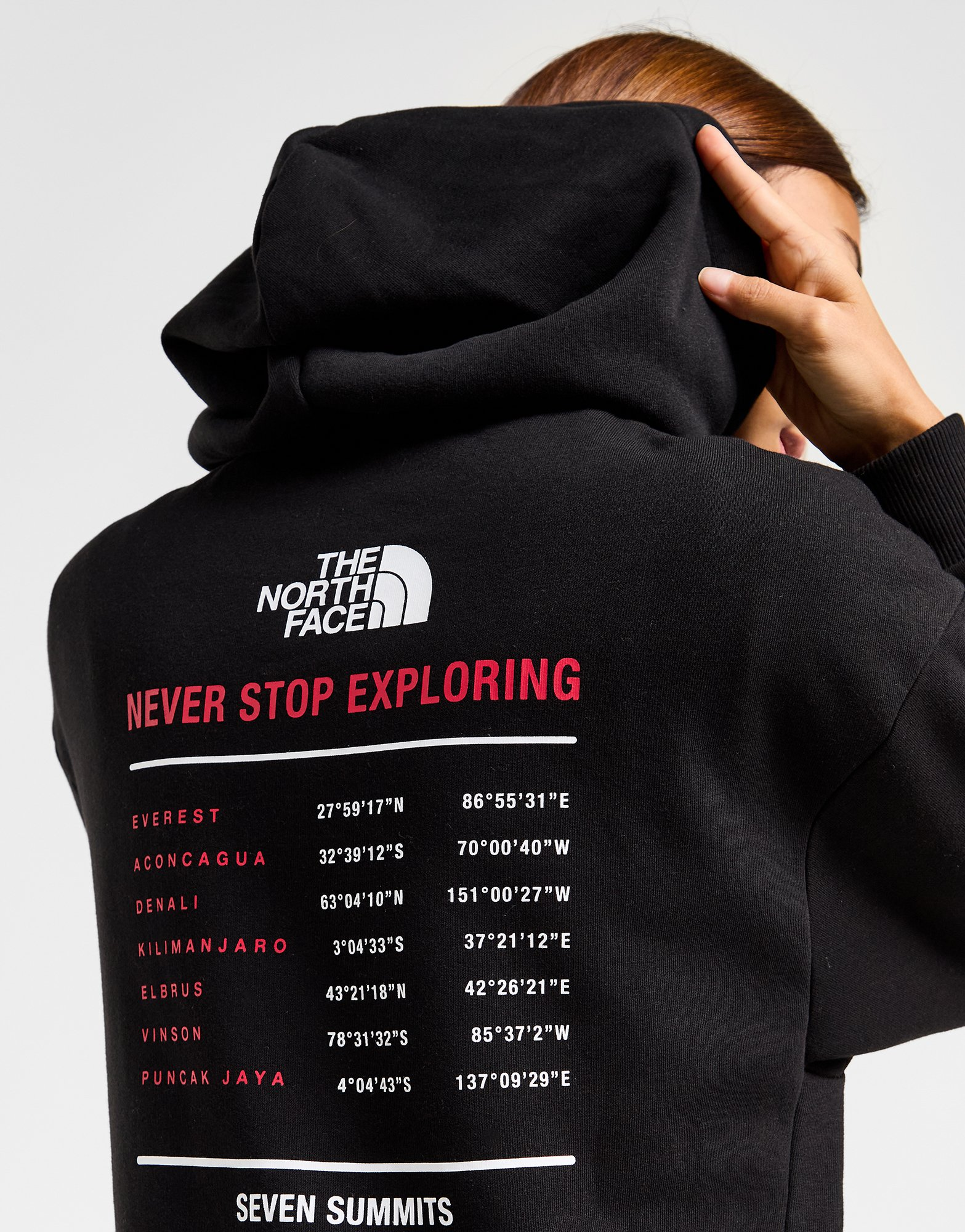 The North Face Sweat à Capuche Summit Femme