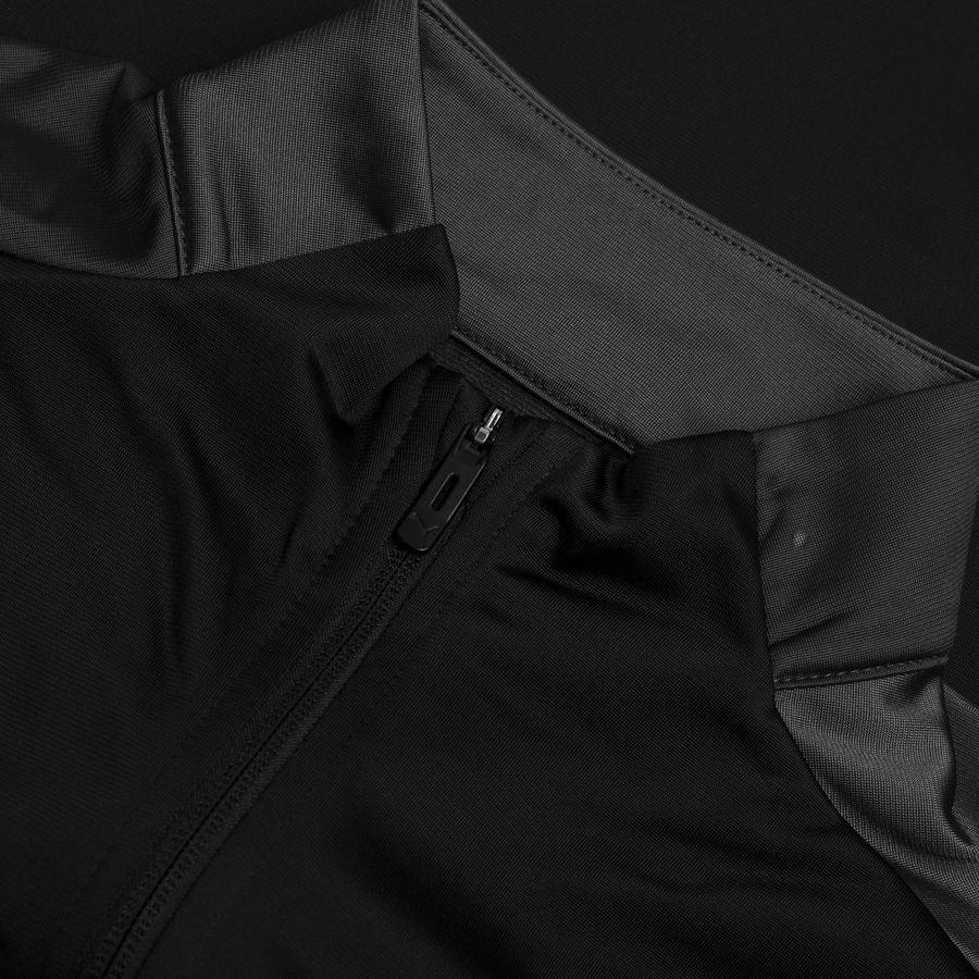 PUMA Veste d'Entraînement teamGOAL 23 - Noir/Gris