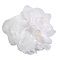 Beauty Success - Fleur de Massage Blanche- Fleur de douche