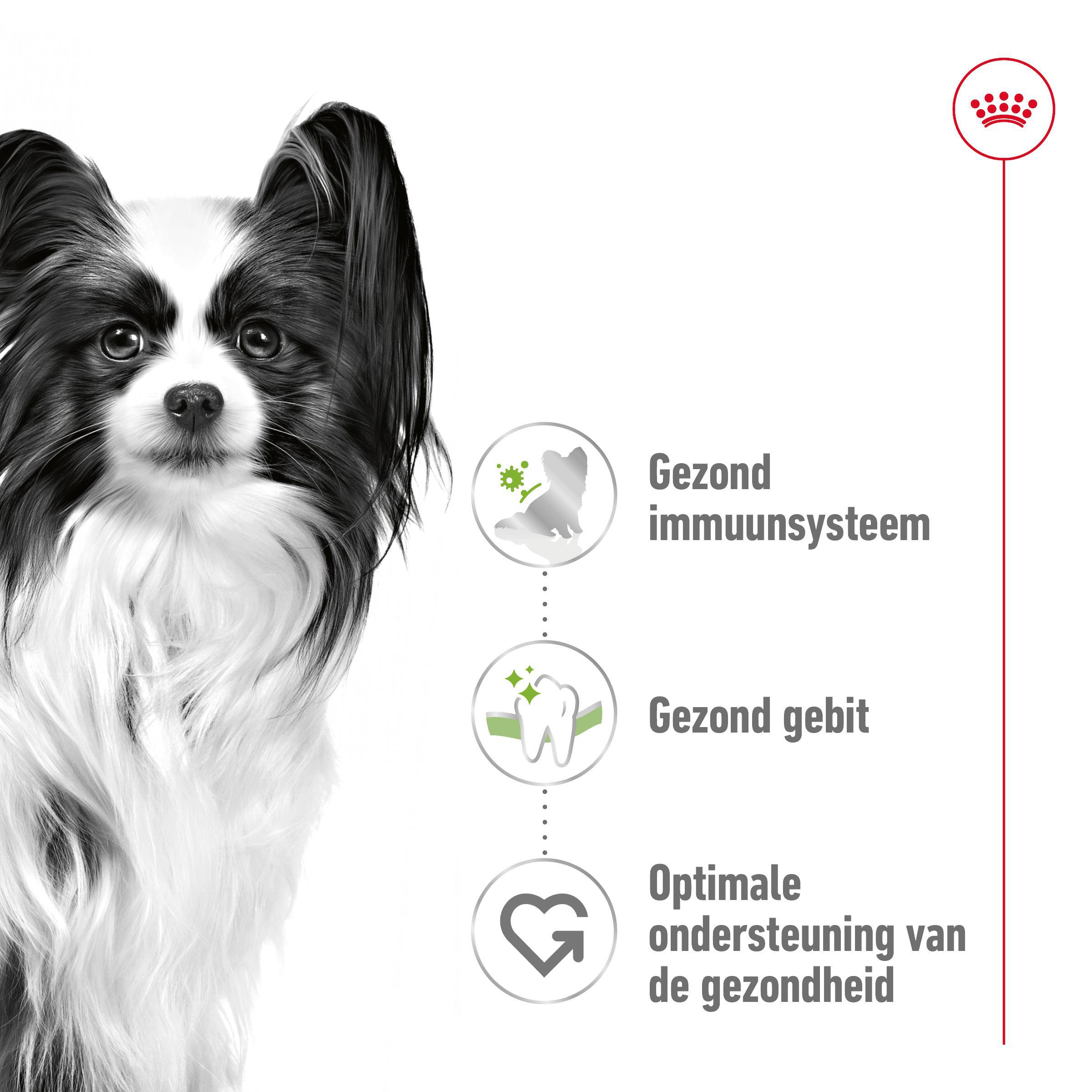 Royal Canin X-Small Adult - Hondenvoer