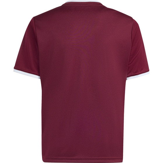 adidas Entrada 26 Trainingsset Kids