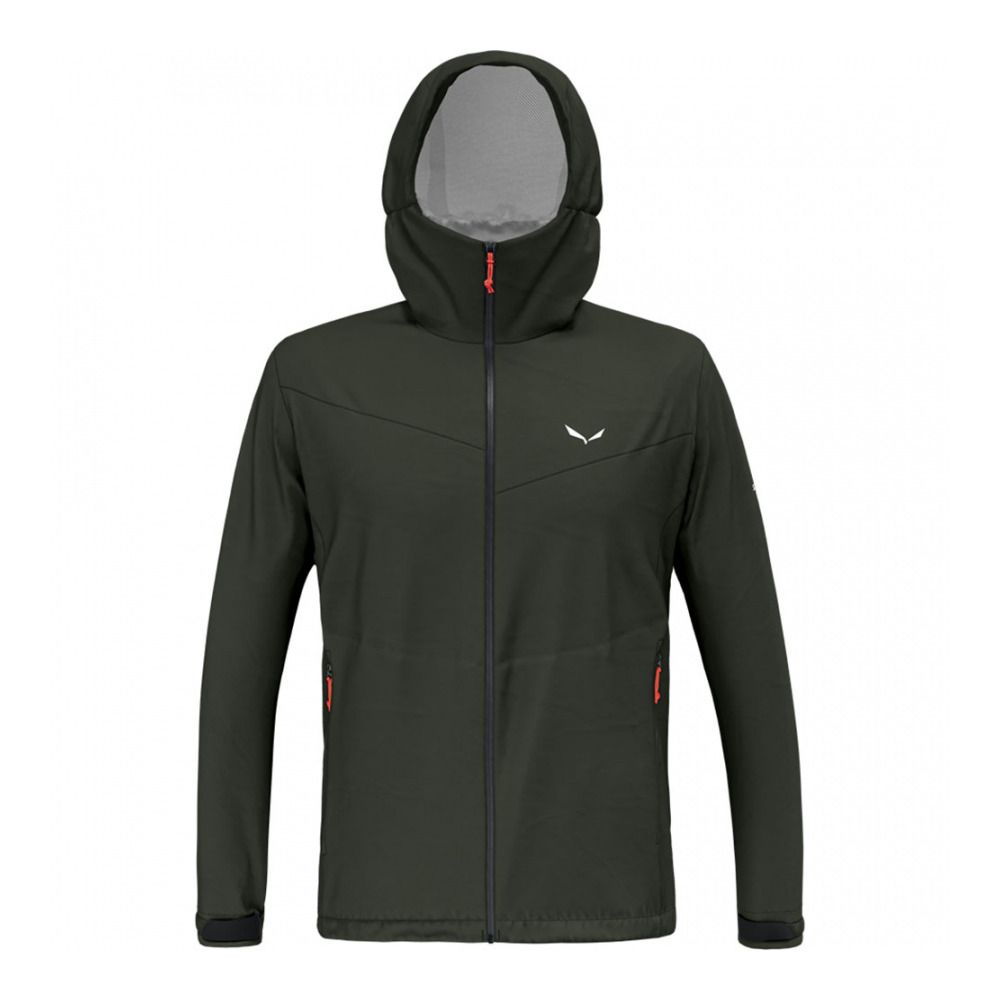 Salewa PUEZ 2.5L PTX - Veste Homme dark olive