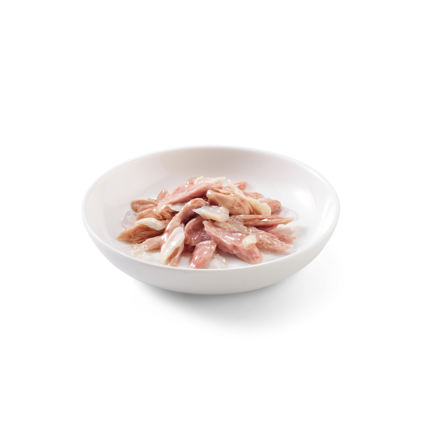 Atum adulto Schesir com amberjack em gelatina, 85g, em lata, para gatos.