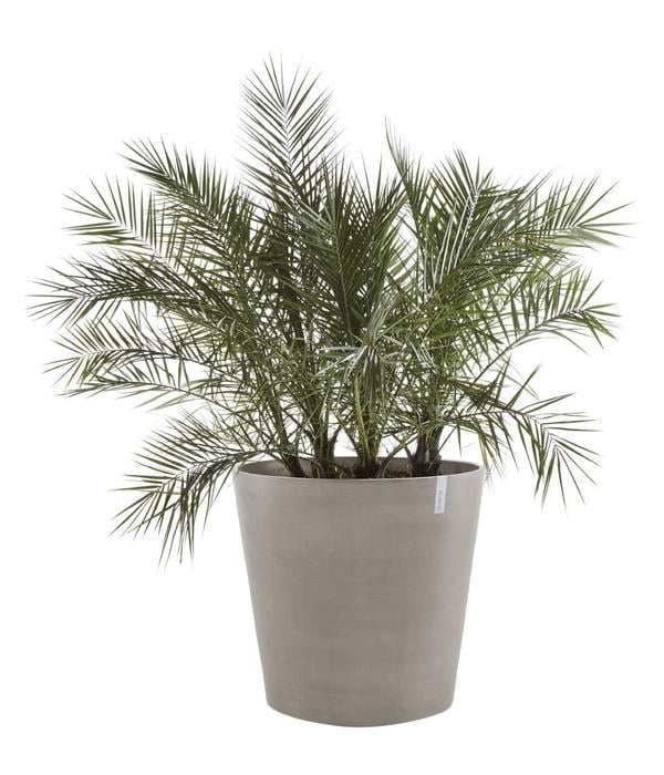Ecopots Kunststoff-Topf Amsterdam mit Rollen,