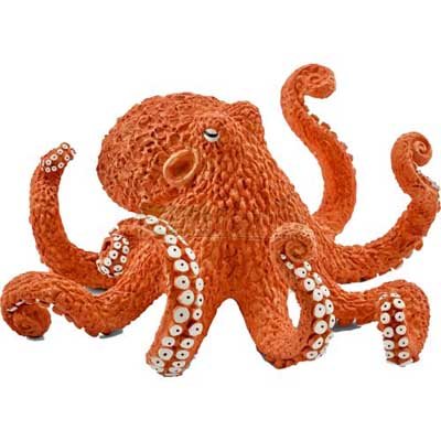 Octopus