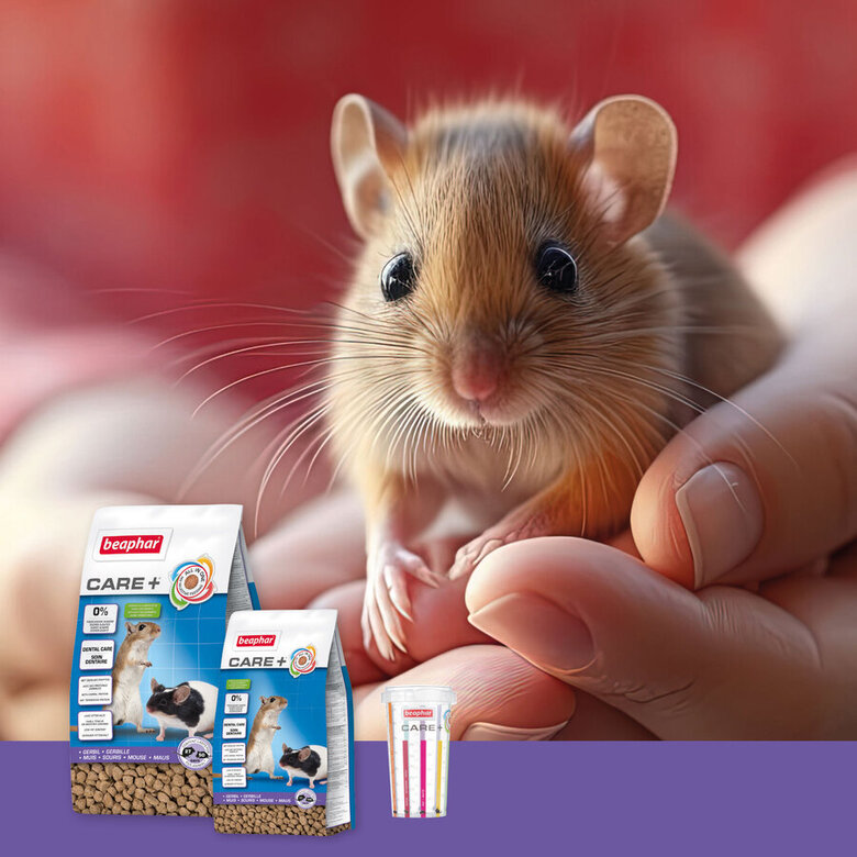 Alimento Beaphar Care+ para gerbos e ratos