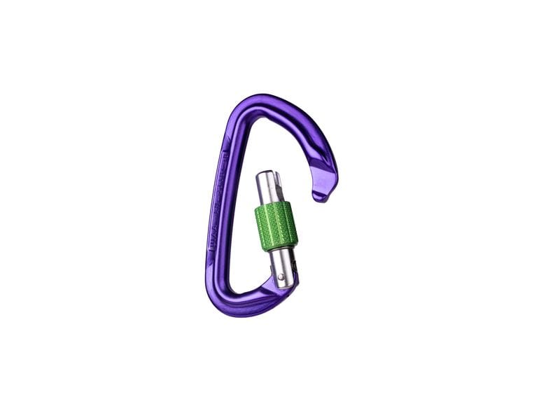 Wild Country Carabiner Session Screw Gate Lila Karabiner mit Schraubverschluss