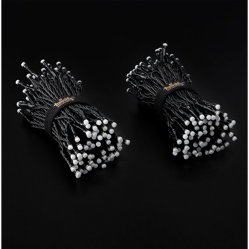 Twinkly 250 lampjes