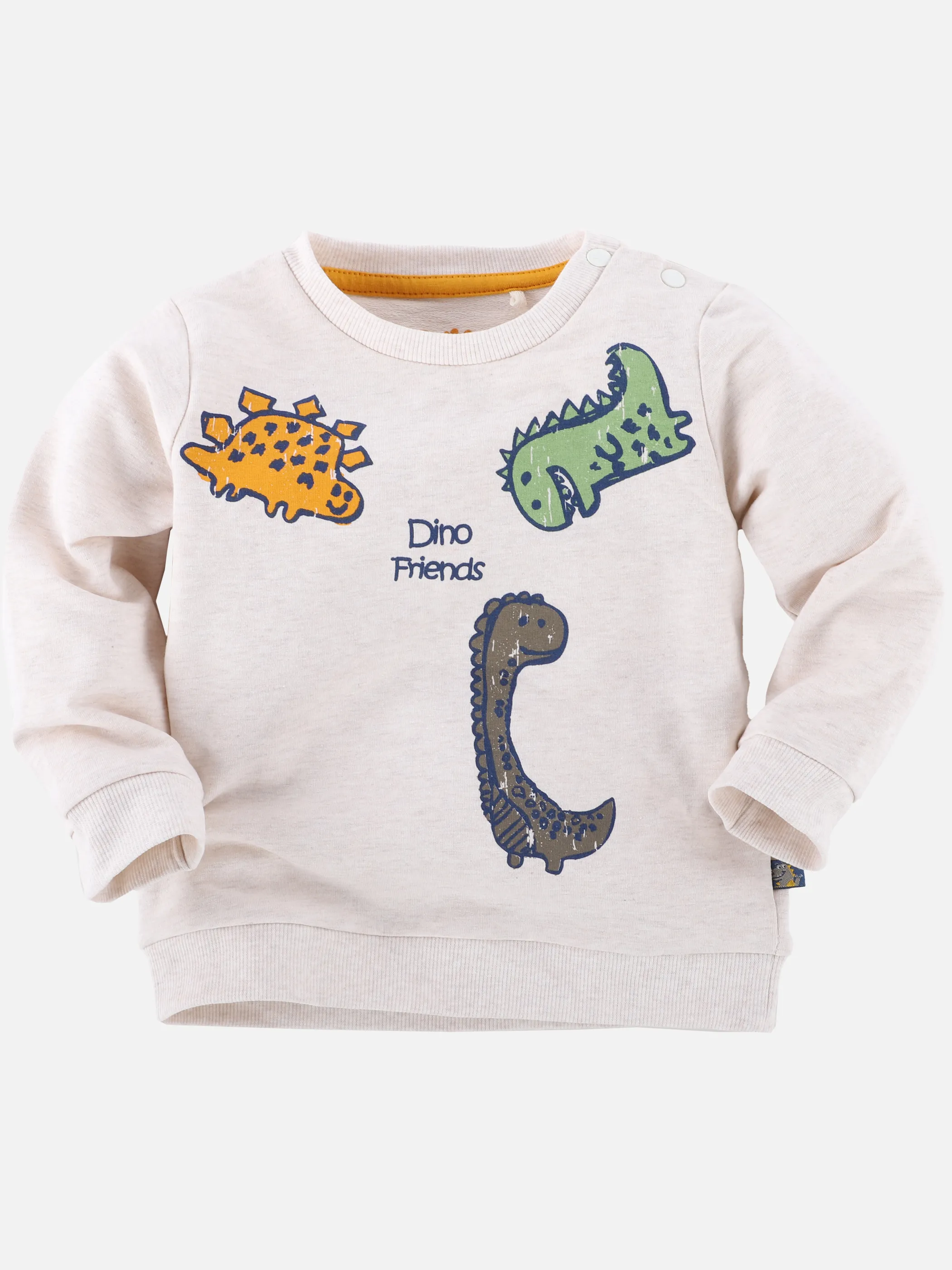 Baby Jungen Sweatshirt mit Frontprint