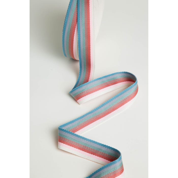Atelier Veritas-Pastel tassenband 40mm - per meter