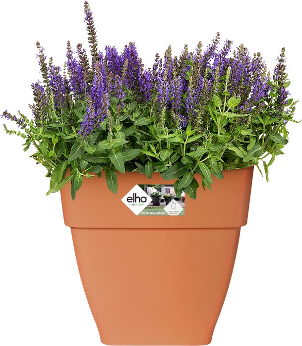 Elho bloempot Vibia Campana terracotta 36,4 x 36,4 x 35,6 cm
