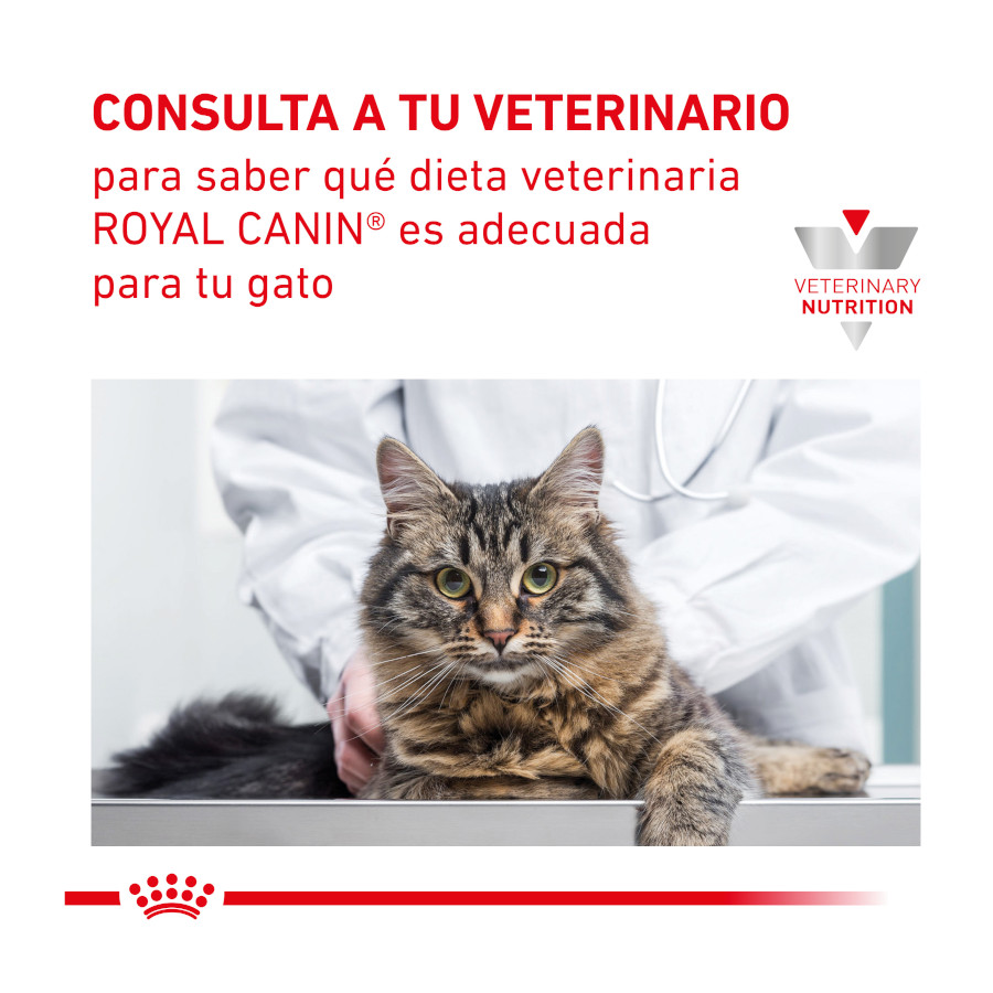 Ração Royal Canin Veterinary Renal Select para gatos