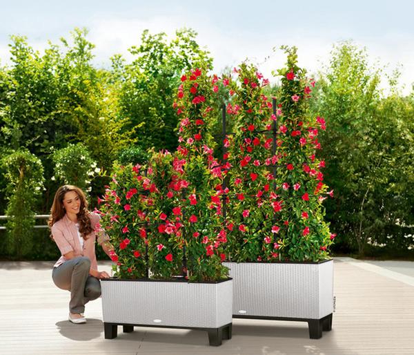 LECHUZA® Polyrattan-Kasten Trio Cottage,