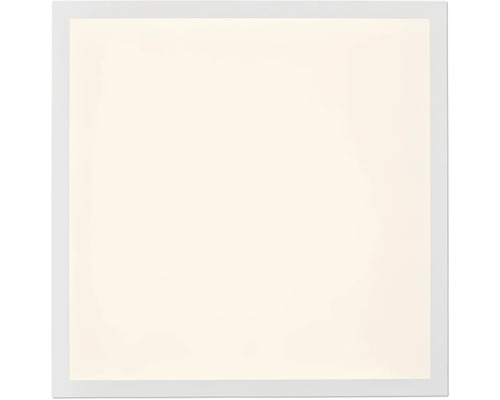 LED plafond opbouwpaneel 24W 2700 lm 2700 K 5x45x45 cm wit