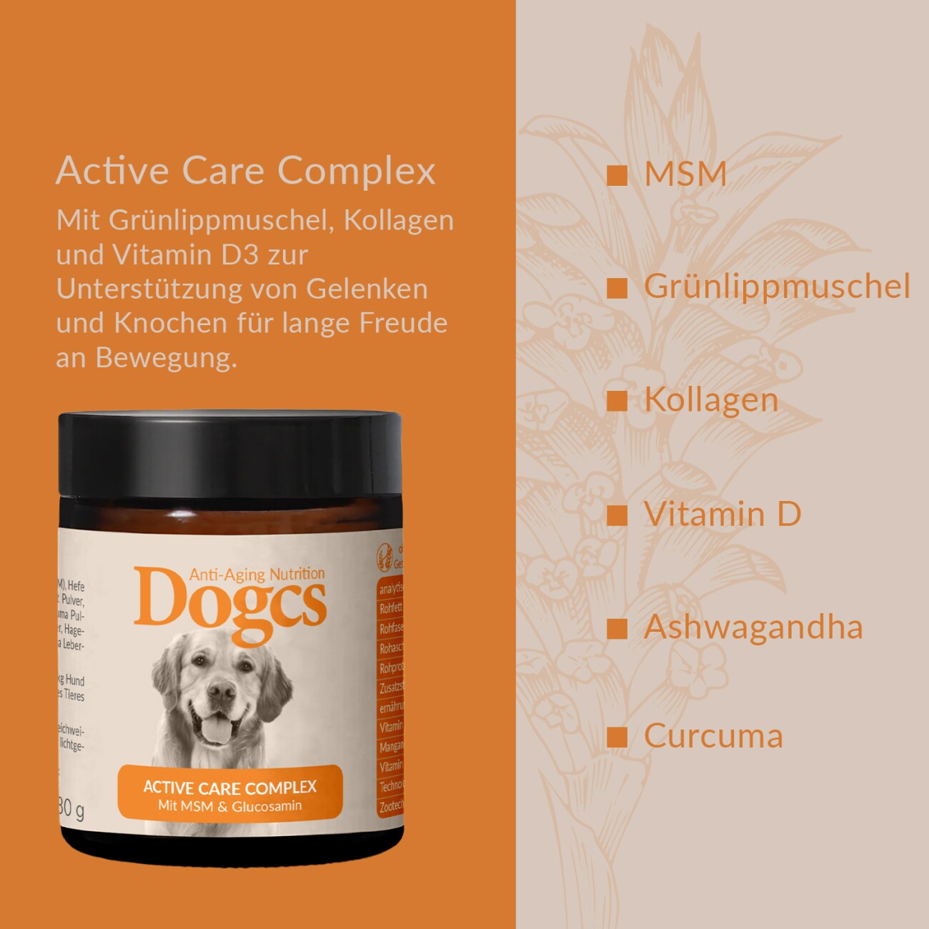 DOGCS Active Care Complex