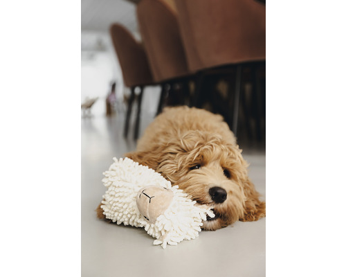 Beeztees Eco Toy Schaap Jovi Hondenspeelgoed, 20 x 6 x 21 cm, beige, 100% gerecycled materiaal