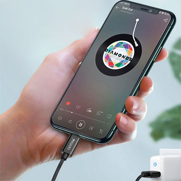 (120cm) 2in1 Lightning auf Audio 3.5mm Klinke Stecker AUX Nylon Kabel   USB A Ladeanschluss mit vergoldeten Kontakten - Schwarz
