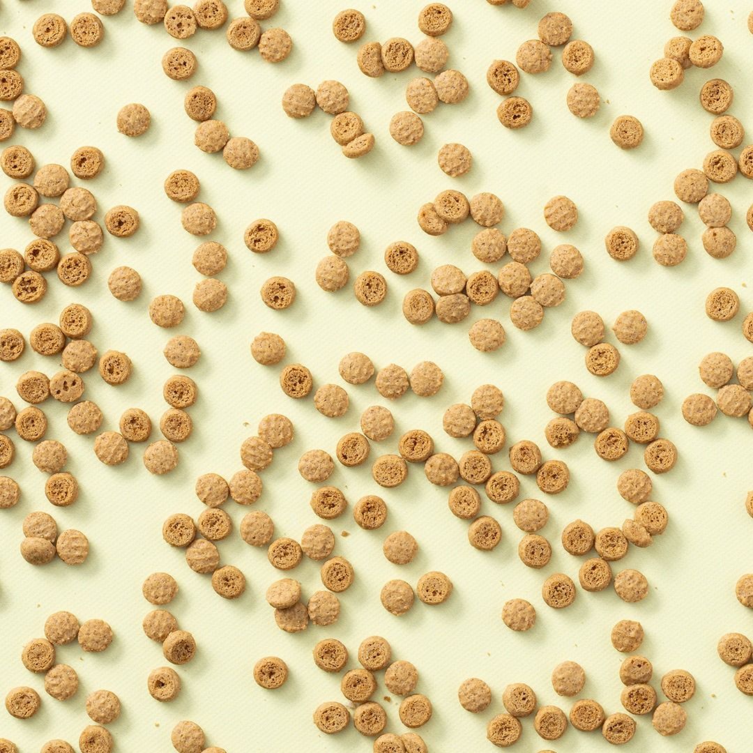 Koekjes strooisel speculaas