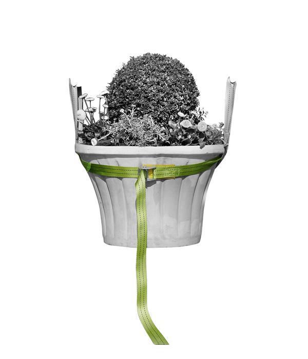 Bio Green Tragegurt für Kübelpflanzen,