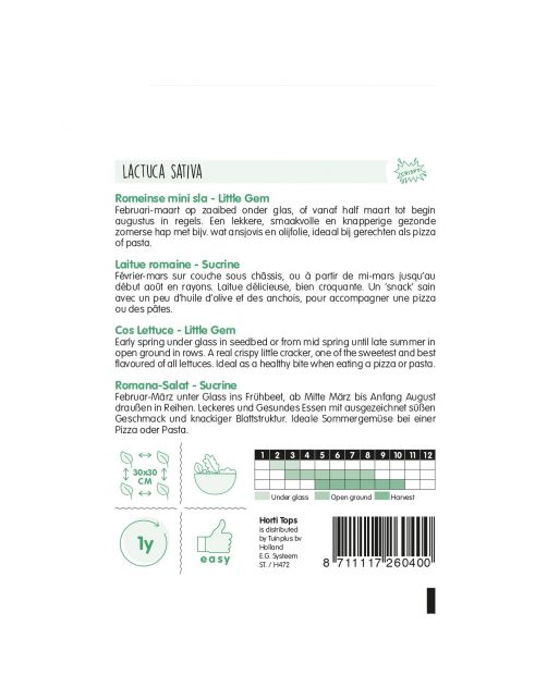Hortitops Romeinse Mini Sla Little Gem (Bindsla) - Groentezaden - 2 g