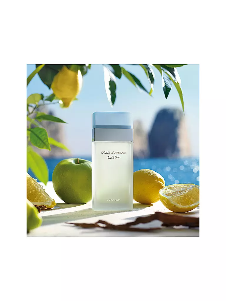 DOLCE&GABBANA Light Blue Eau de Toilette 50ml keine Farbe
