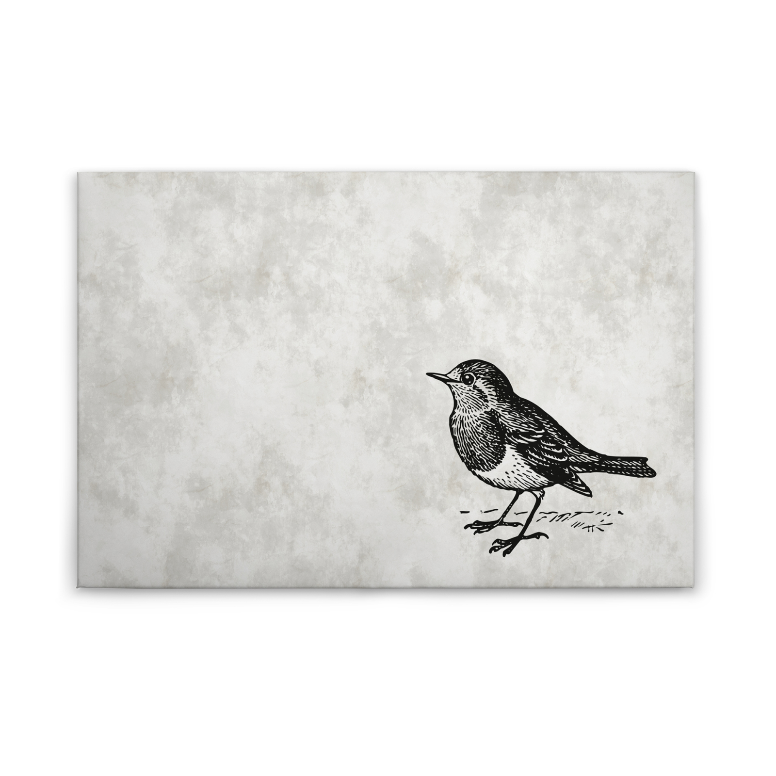 Leinwandbild VOGEL 2 - grau-schwarz - 90x60 cm