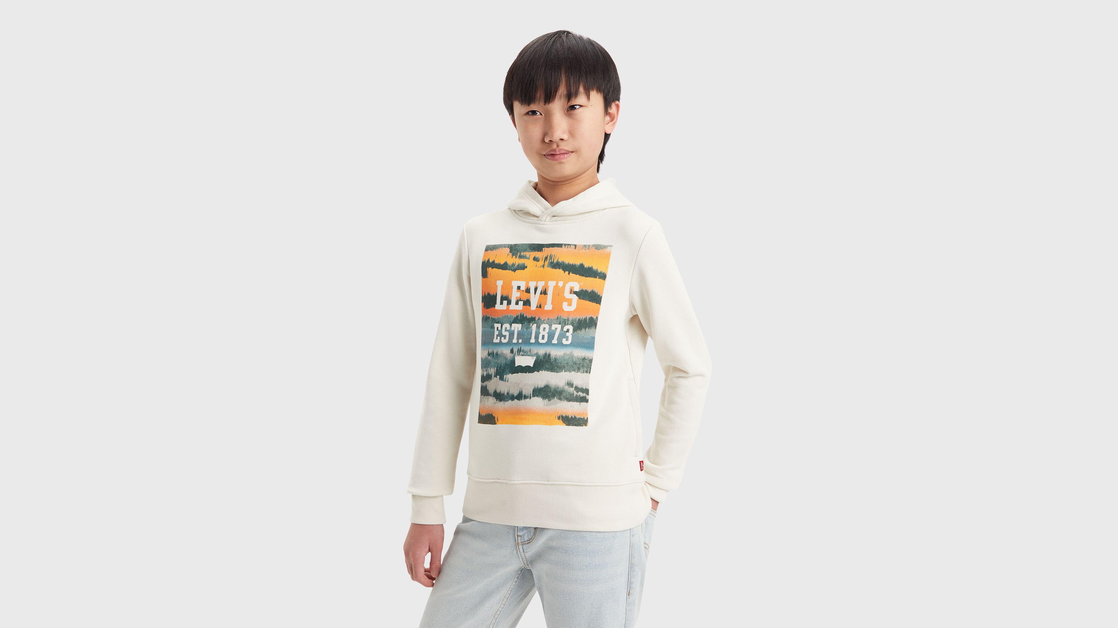 Ado sweat à capuche Landscape Box - Birch - Beige