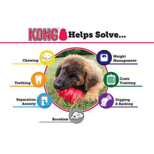 KONG Puppy