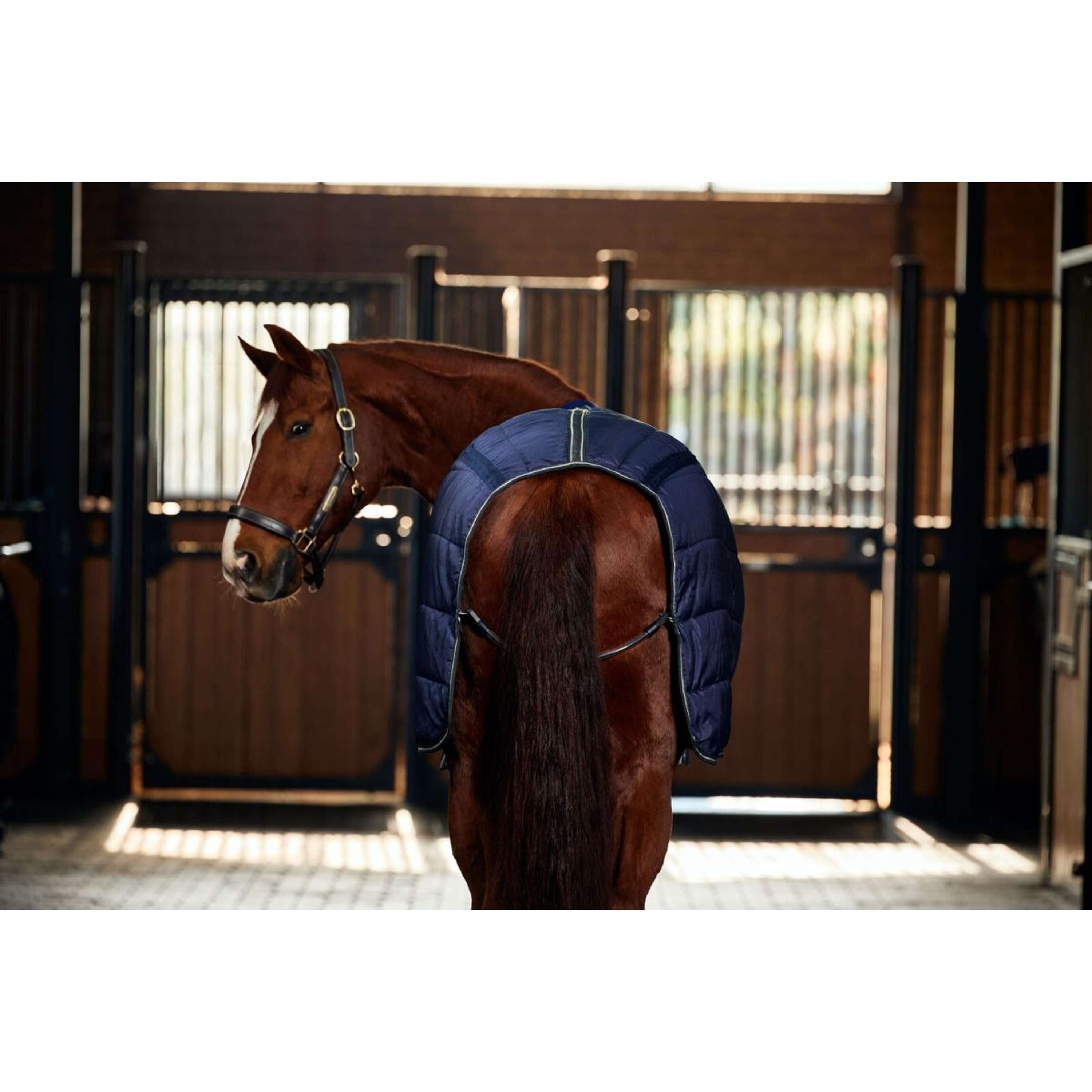 WeatherBeeta Staldeken ComFiTec PP Channel Quilt Detach-A-Neck 220g Na