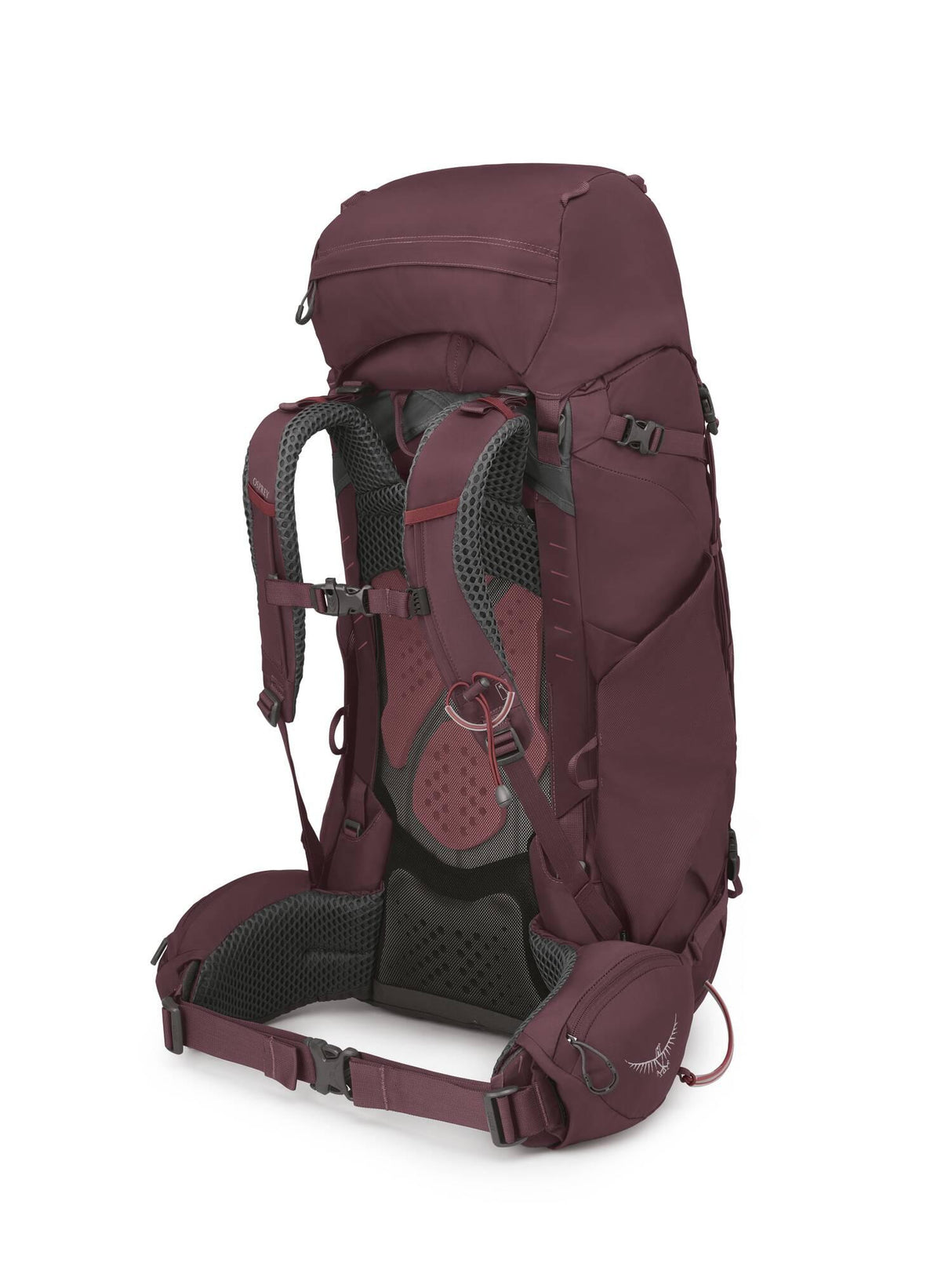 Osprey<br>Kyte 58