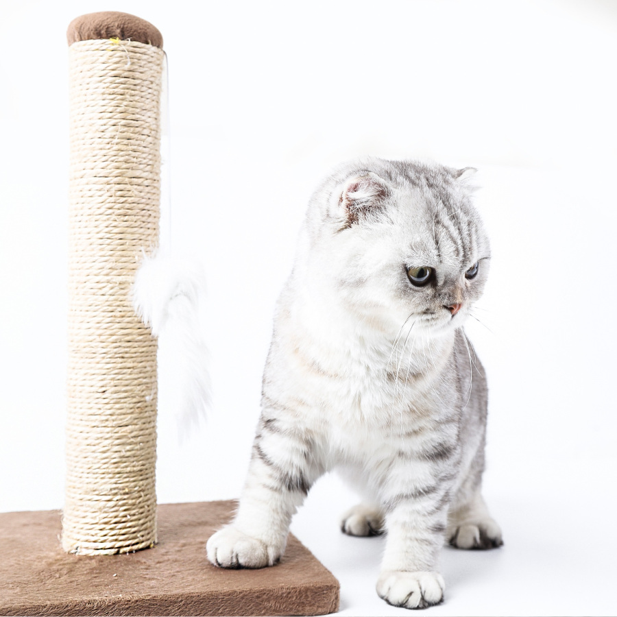 Nobleza – Poste arranhador de sisal para gatos