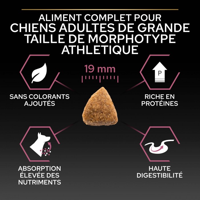 PRO PLAN Sensitive Skin Large Athletic Adult au Saumon - Croquettes pour chien
