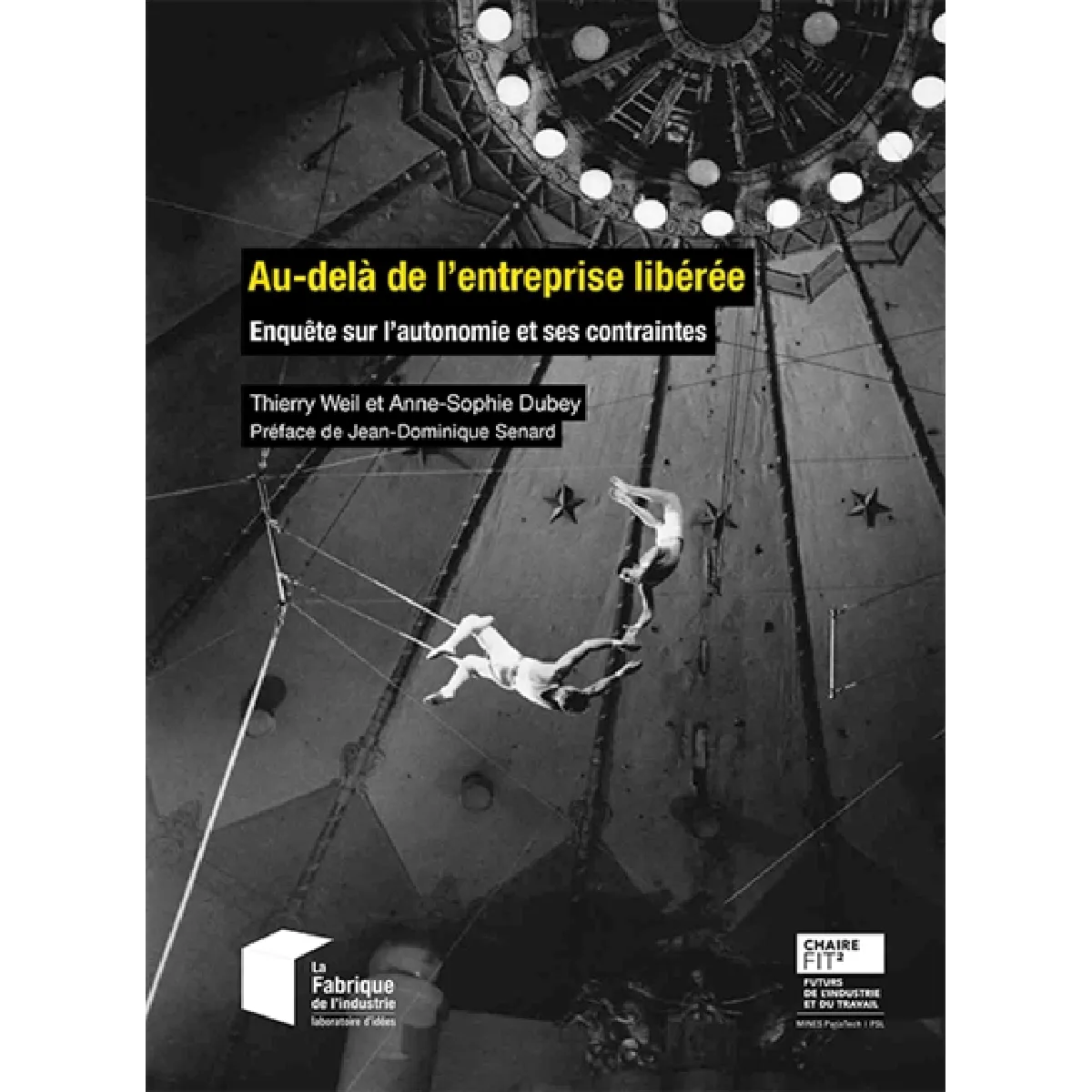 Au-delà de l'entreprise libérée : enquête sur l'autonomie et ses contraintes · Occasion