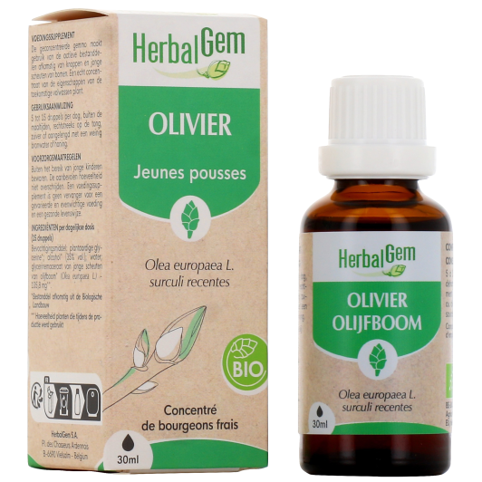 Herbalgem macérat olivier bio - Gemmothérapie concentrée